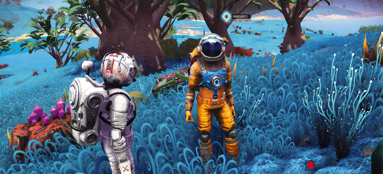 Tu viaje a través de No Man's Sky solo depende de ti. ¿Serás un luchador que hace presa de los débiles y se lleva sus riquezas o que acaba con los piratas para hacerse con sus botines?