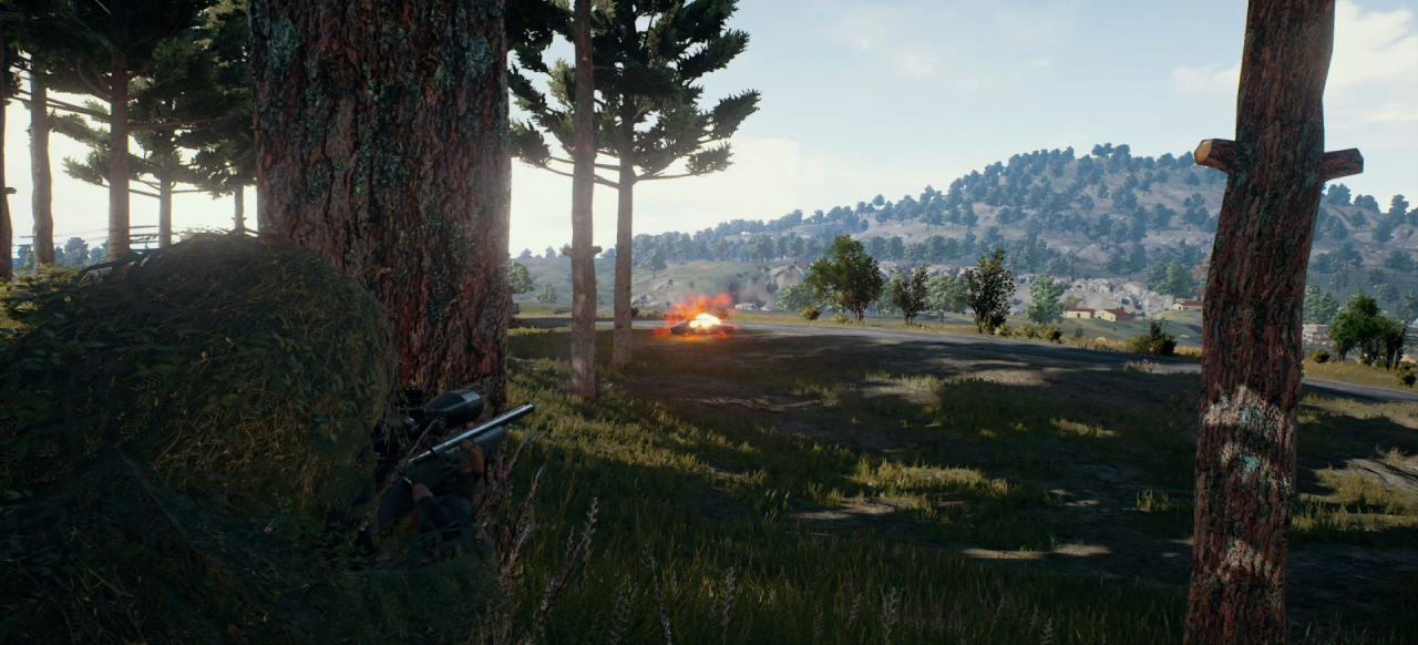 PlayerUnknown's Battlegrounds 