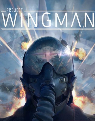 PROJECT WINGMAN PC