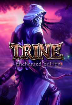 Trine Enchanted Edition Steam CD Key